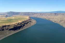 Columbia River with Mt. Adams in the Background