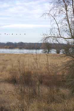 Sauvie Island, Columbia River Just West of Portland, OR